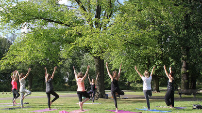 Yoga in het Euromastpark