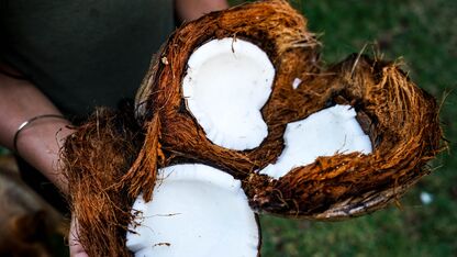 Een kokosolie haarmasker voor glanzende lokken