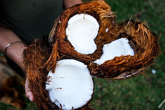 Zo maak je het makkelijkst een kokosnoot open