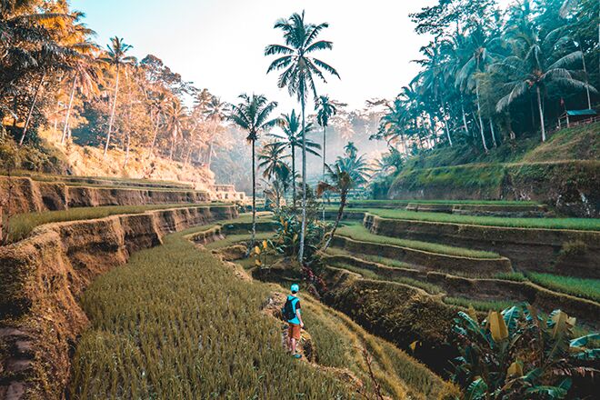 Redenen waarom je echt eens op vakantie naar Bali moet