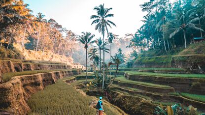 Redenen waarom je echt eens op vakantie naar Bali moet