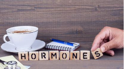 Wat zijn hormonen? Alles wat je wil weten over hormonen!