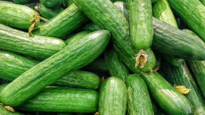 5 redenen waarom komkommer zo geweldig is