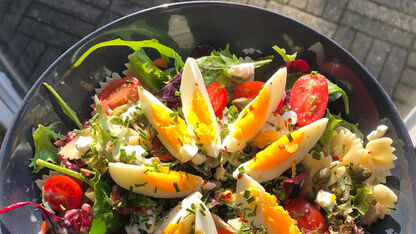 RECEPT: Eiwitrijke saladebowl