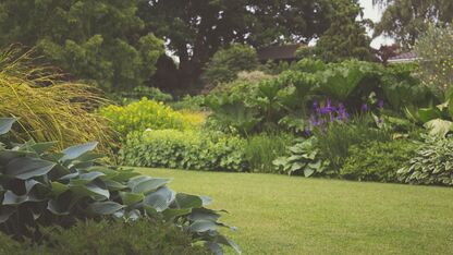 Van siertuin naar moestuin: waarom steeds meer Nederlanders zelf willen verbouwen