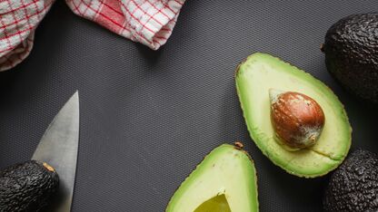 15x simpele avocado recepten