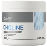 
  
OstroVit Choline 