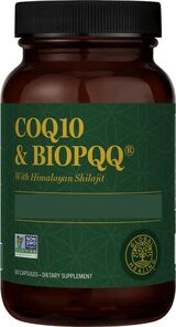 
  
Global Healing CoQ10 & BioPQQ 