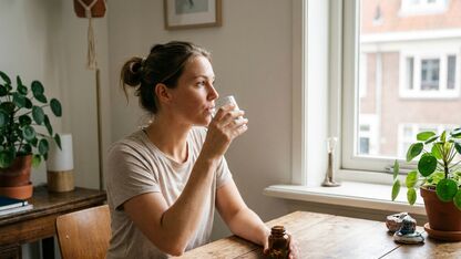 Top 10 beste ijzer supplementen