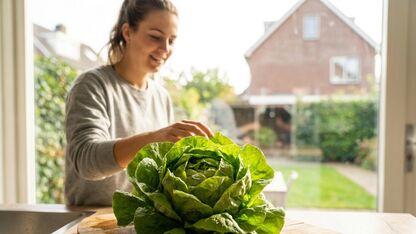 Is sla gezond? Voedingswaarden, voordelen en nadelen uitgelegd