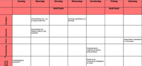 Trainingsschema Deniece v1